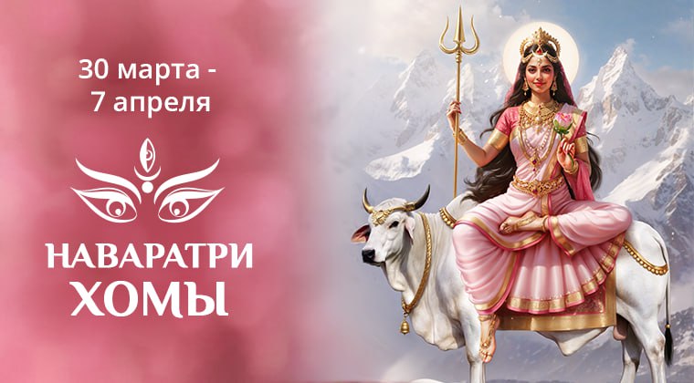 article Васант-Наваратри хомы image