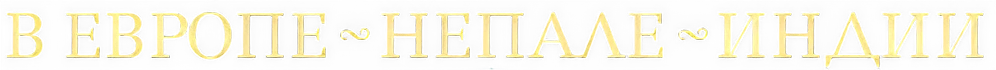 main logo